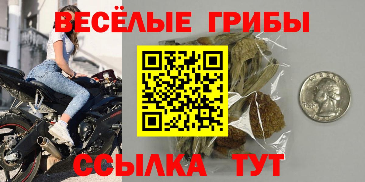 Галлюциногенные грибы прущие грибы  Вход с VPN  Калининград 